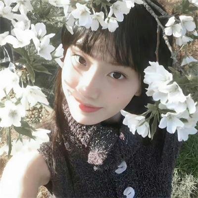 甘草叉